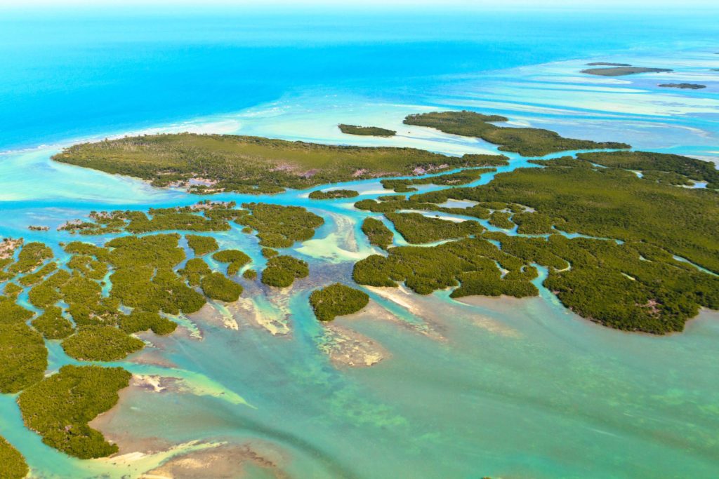 Florida Keys Natl Marine Sanctuary Impact Plan - CCA Florida
