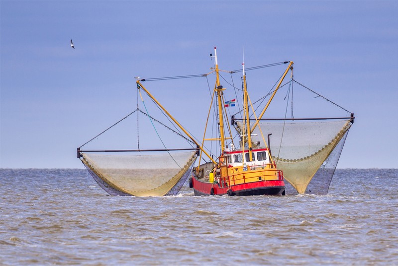 Proposal seeks to increase destructive impact of shrimp trawls