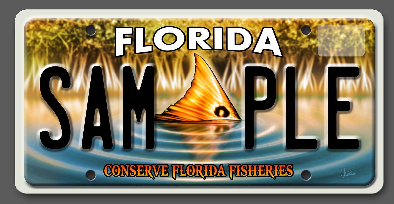 CCA Florida Custom Toadfish