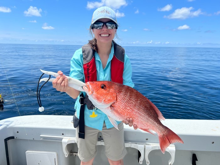 Outdoors - South Atlantic opens again for red snapper